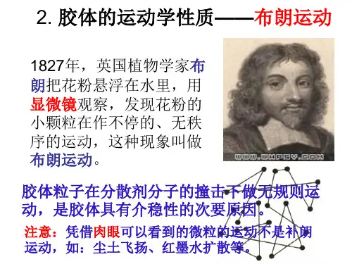 胶体的运动学性质布朗运动 课件  高中化学课件