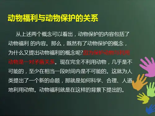 动物福利与动物保护的关系