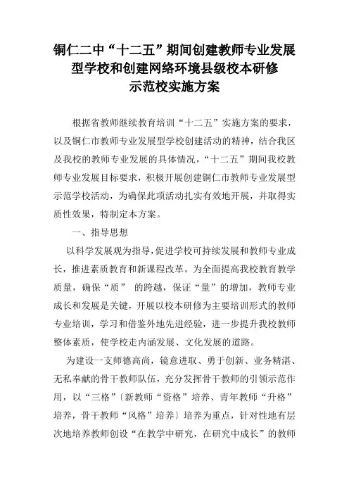 教师专业发展实施方案