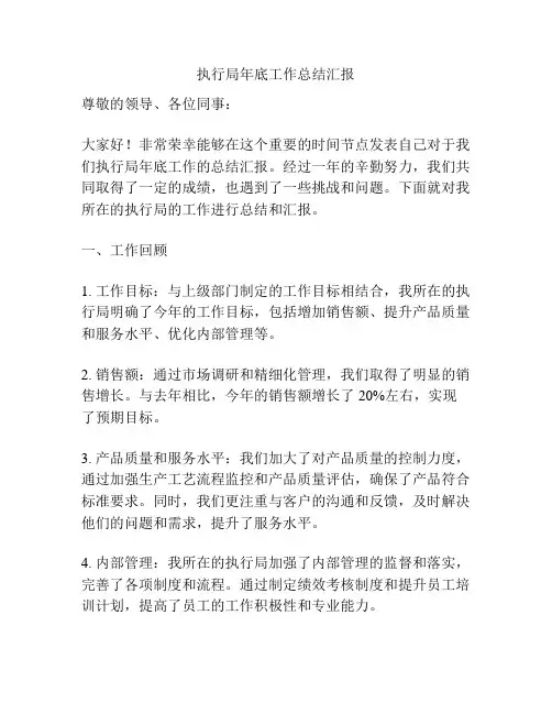 执行局年底工作总结汇报