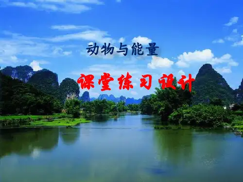 冀教版六年级科学上册 动物与能量