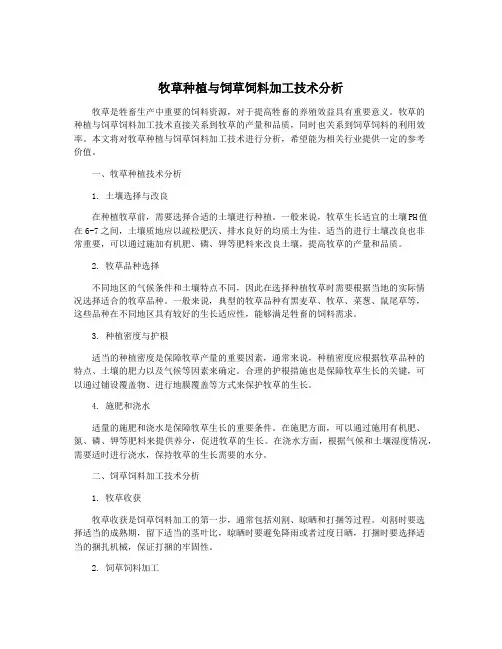 牧草种植与饲草饲料加工技术分析