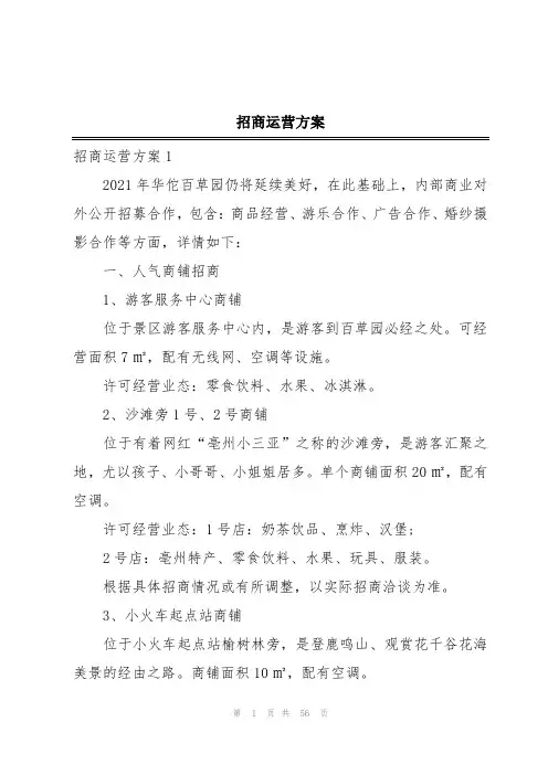 招商运营方案