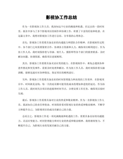 影视协工作总结