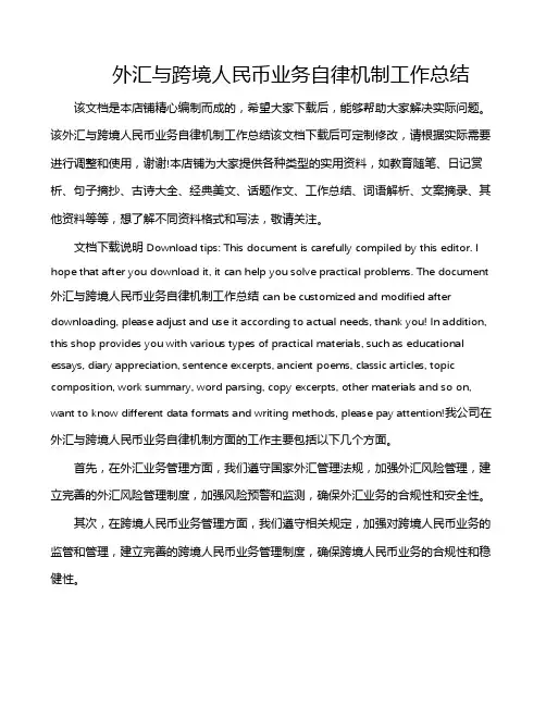 外汇与跨境人民币业务自律机制工作总结
