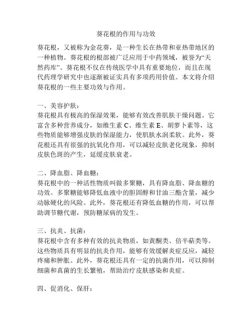 葵花根的作用与功效