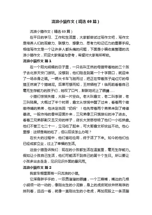 流浪小猫作文（精选69篇）
