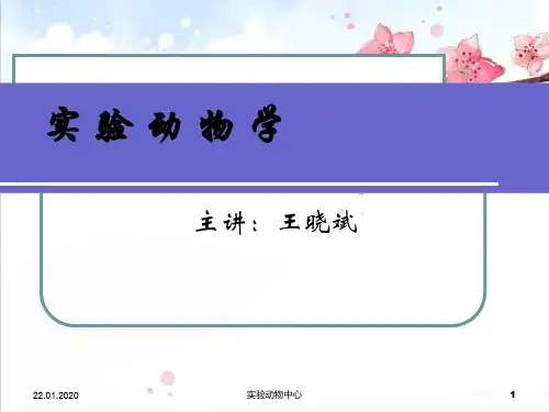 动物实验基本操作精品PPT课件