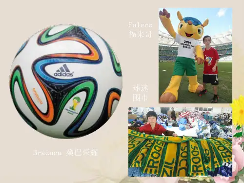 岳麓版高中历史必修二ppt(课件+学案+教案战后资本主义世界经济体系的形成等9份) 岳麓版2