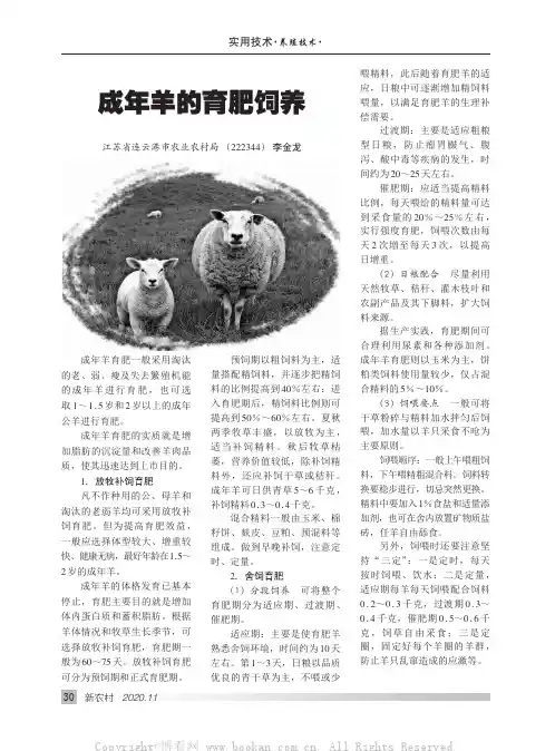 成年羊的育肥饲养