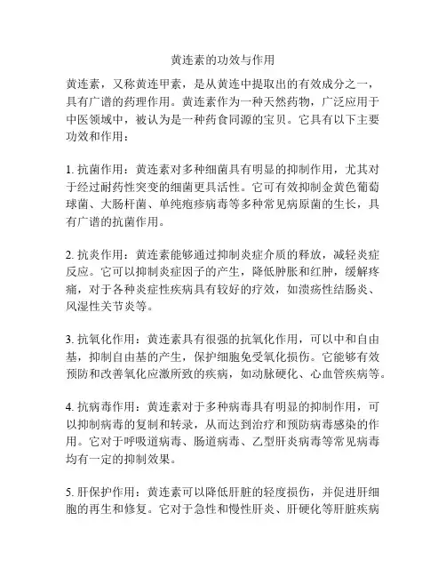 黄连素的功效与作用
