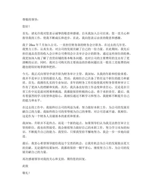 财务个人升职申请书范文