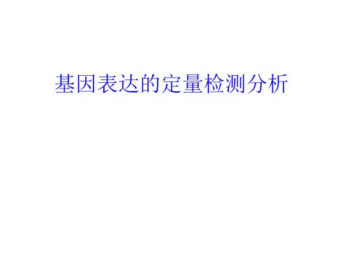 基因表达的定量检测分析