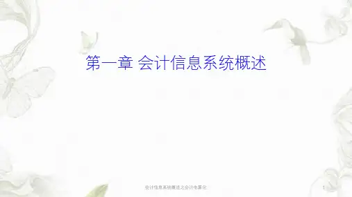 会计信息系统概述之会计电算化课件