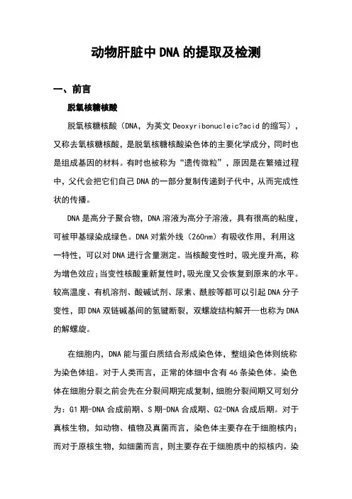动物肝脏中DNA的提取及检测实验报告