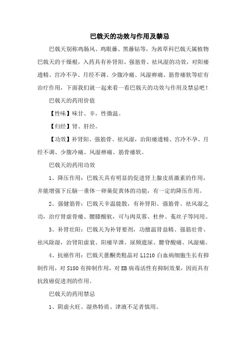 巴戟天的功效与作用及禁忌