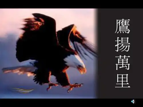 老鹰的故事-新生命的诞生1