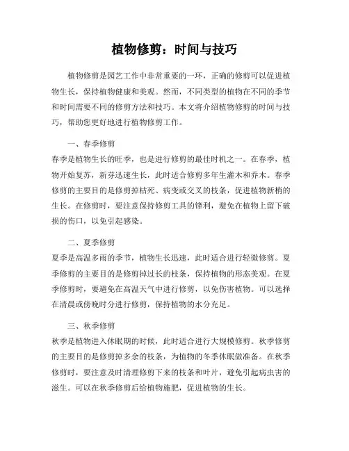 植物修剪：时间与技巧