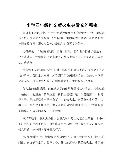 小学四年级作文萤火虫会发光的秘密