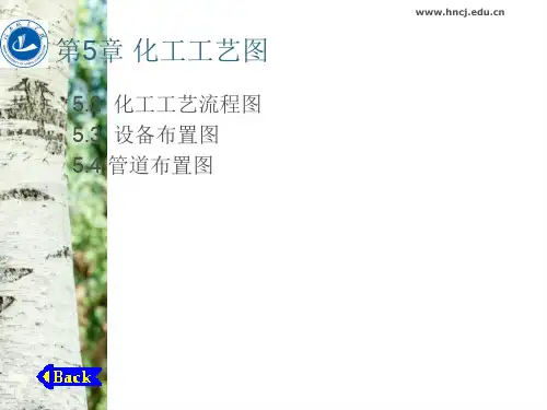 化工CAD工艺流程图