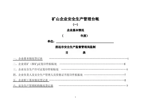 矿山企业安全生产管理台帐(一)