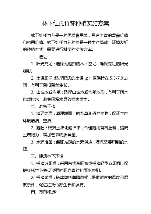 林下红托竹荪种植实施方案
