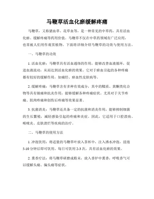 马鞭草活血化瘀缓解疼痛