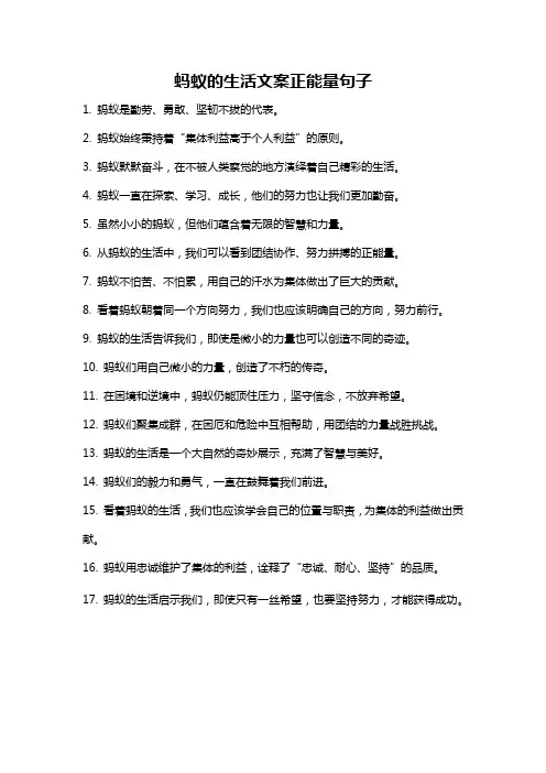 蚂蚁的生活文案正能量句子