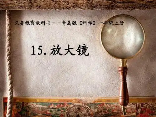 一年级科学上册第15课放大镜PPT课件1青岛版六三制