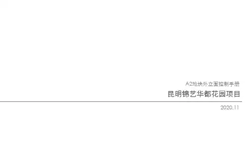A2立面控制手册1127