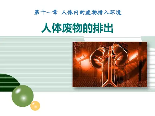 新苏教版七年级生物下册《人体废物的排出》精品教学课件