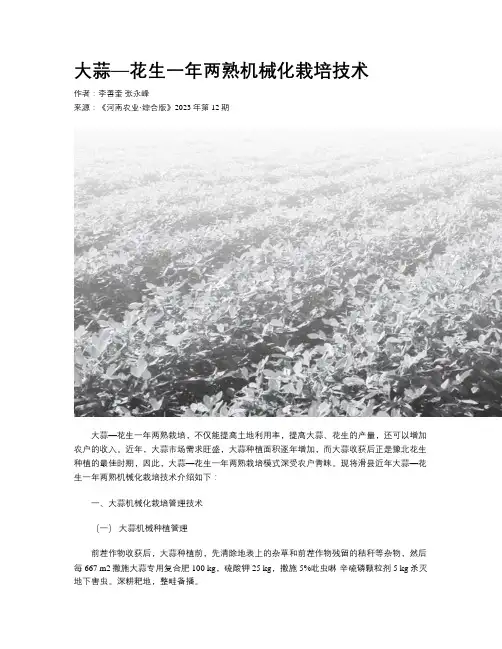 大蒜—花生一年两熟机械化栽培技术