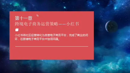 第十一章   跨境电子商务运营策略——小红书  《跨境电子商务理论与实务》