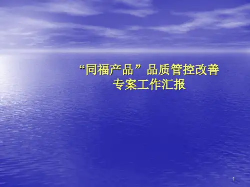 生产专案持续改善工作汇报ppt课件