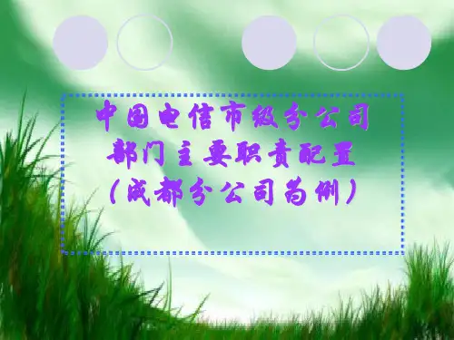 中国电信成都市分公司部门主要职责配置汇总