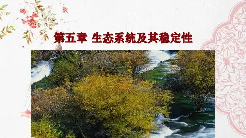 新版人教版高中生物 生态系统的结构 (共13张PPT)学习演示PPT课件