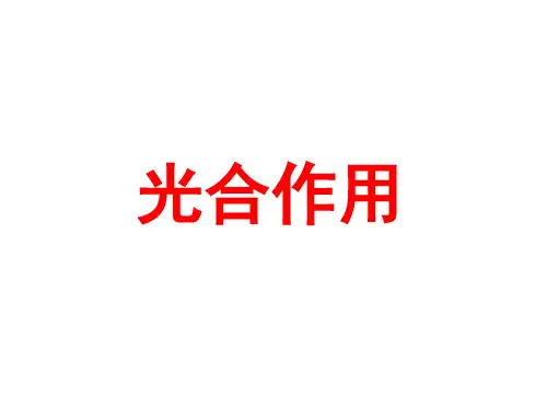 光合作用经典课件ppt