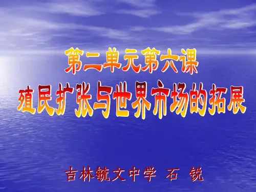  殖民扩张与世界市场的拓展