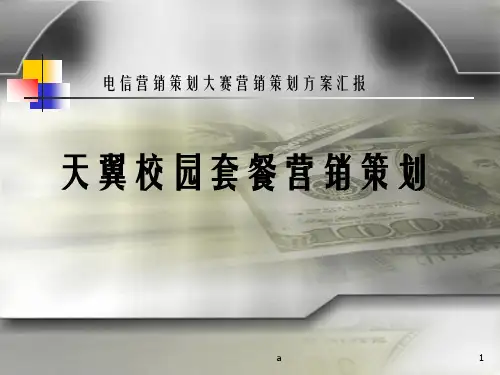 《营销策划方案》PPT课件