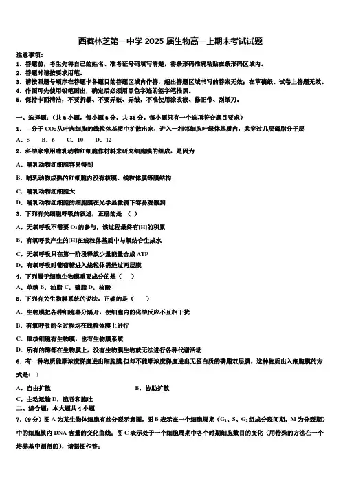 西藏林芝第一中学2025届生物高一上期末考试试题含解析
