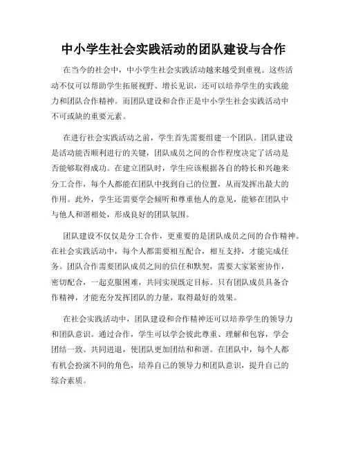 中小学生社会实践活动的团队建设与合作