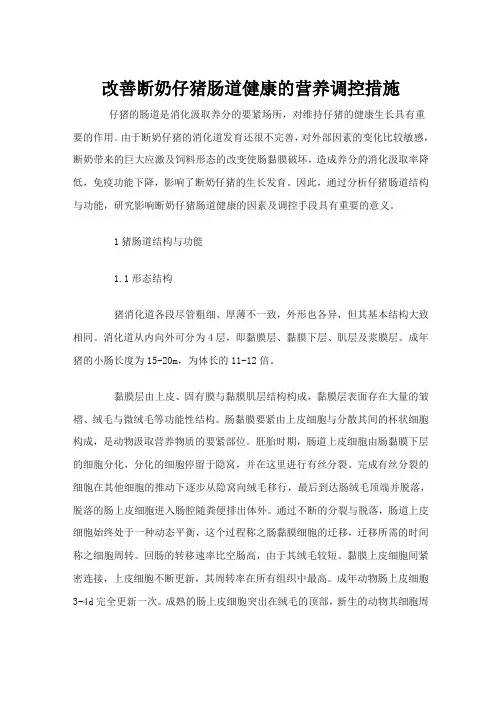 改善断奶仔猪肠道健康的营养调控措施