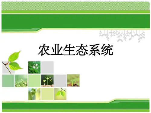 农业生态系统课件ppt