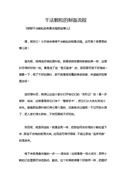 干法颗粒的制备流程