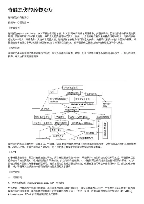 脊髓损伤的药物治疗