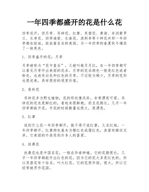 一年四季都盛开的花是什么花