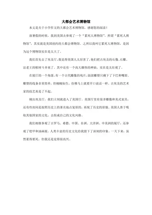 大都会艺术博物馆_小学作文