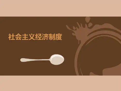 马克思主义政治经济学(第3版)课件：社会主义经济制度