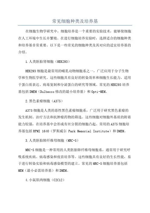 常见细胞种类及培养基