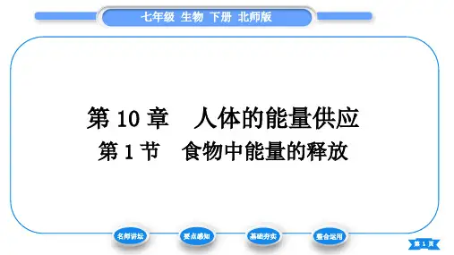 北师大版七年级生物下第4单元生物圈中的人第10章人体的能量供应第1节食物中能量的释放习题课件